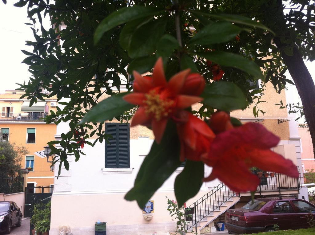 Aristocarli Bed & Breakfast Roma Ngoại thất bức ảnh